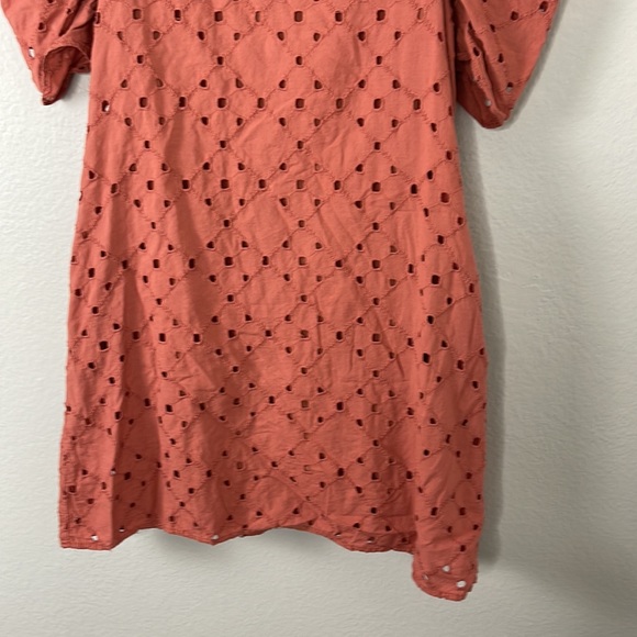 Zara Perforated Embroidery Balloon Sleeve Dress - Picture 9 of 15